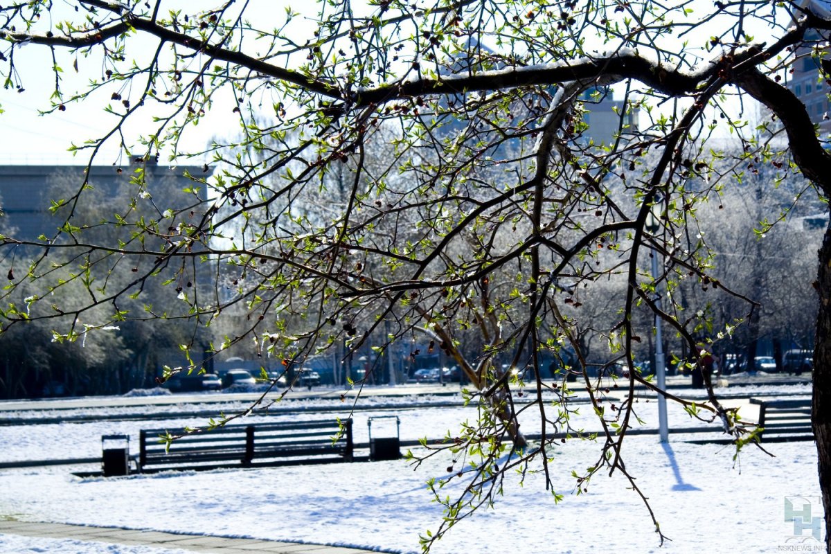 Новосибирск в апреле