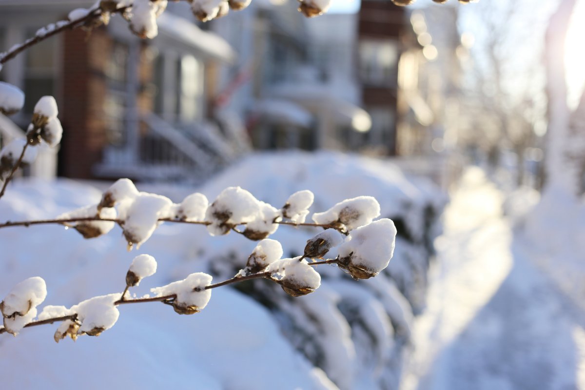 Река Миасс Челябинск зима