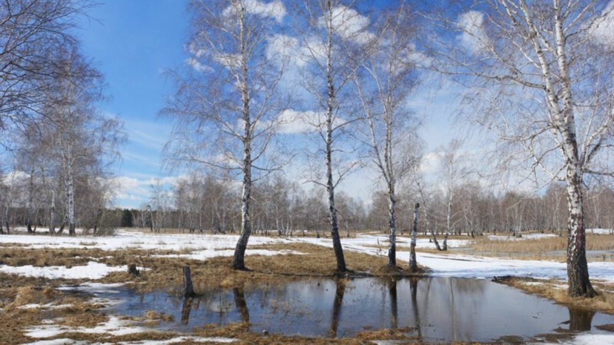 Таяние снега