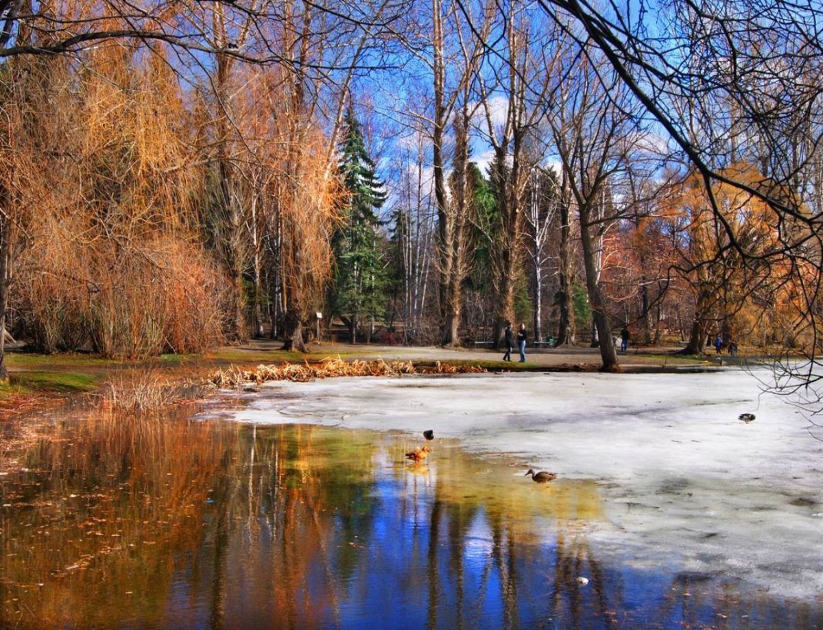 Март природа город