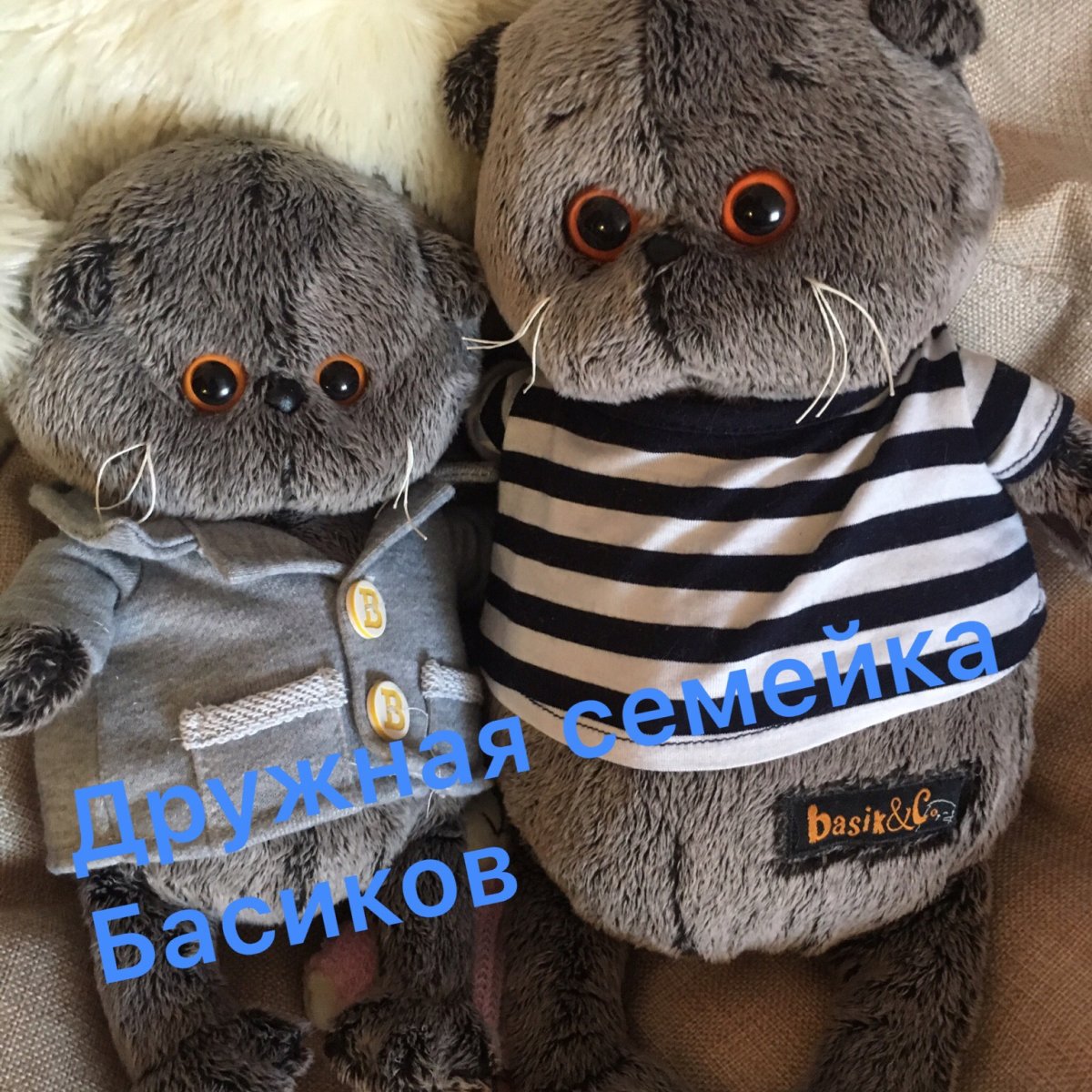 Семейка Басиков