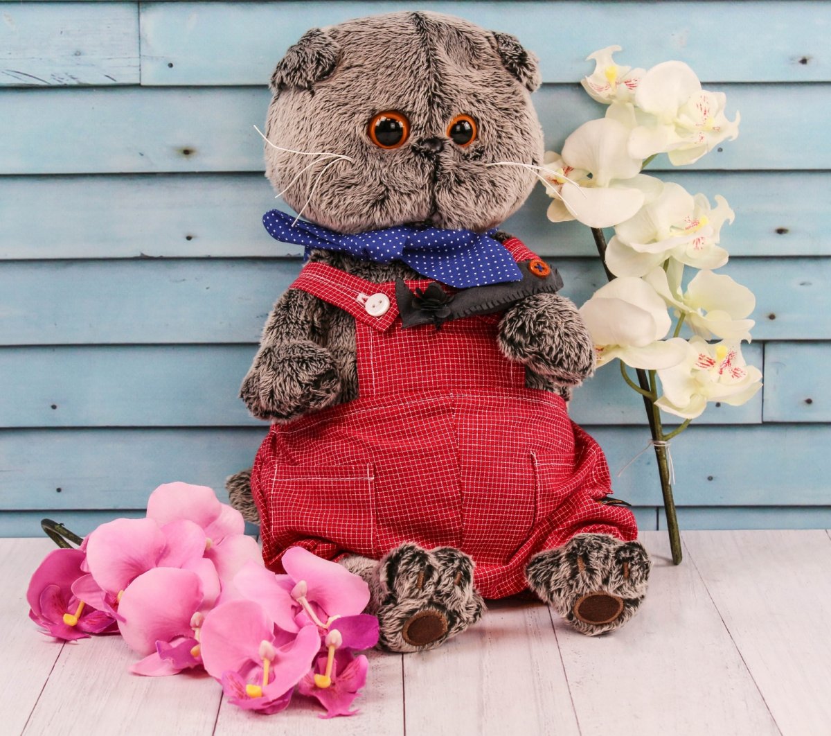 Кот Басик в Красном комбинезоне