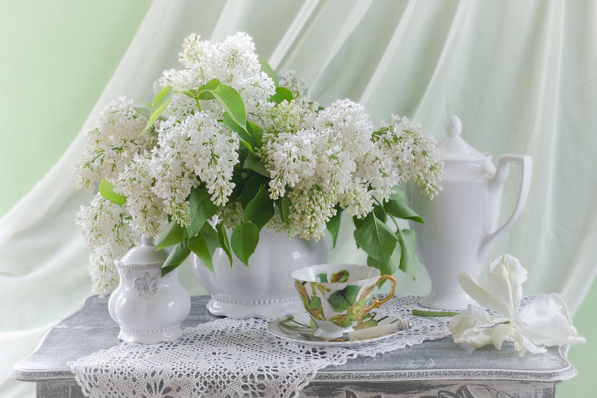 Натюрморты с белой сиренью