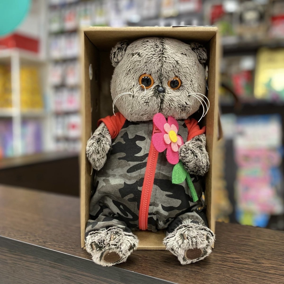 Басик в камуфляжном комбинезоне