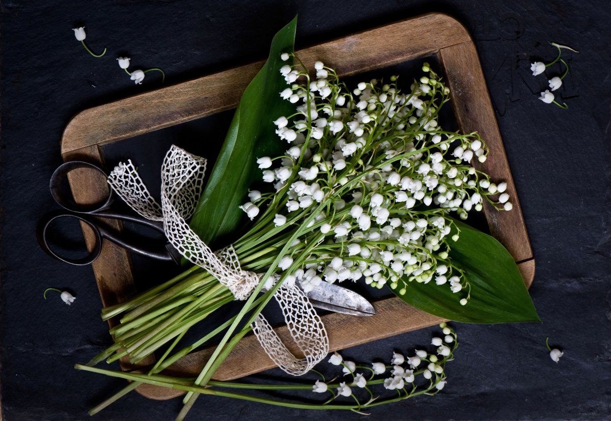 Ландыш Майский букет