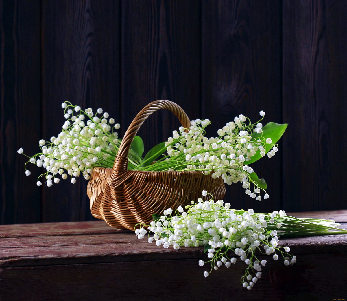 Красивые Ландыши