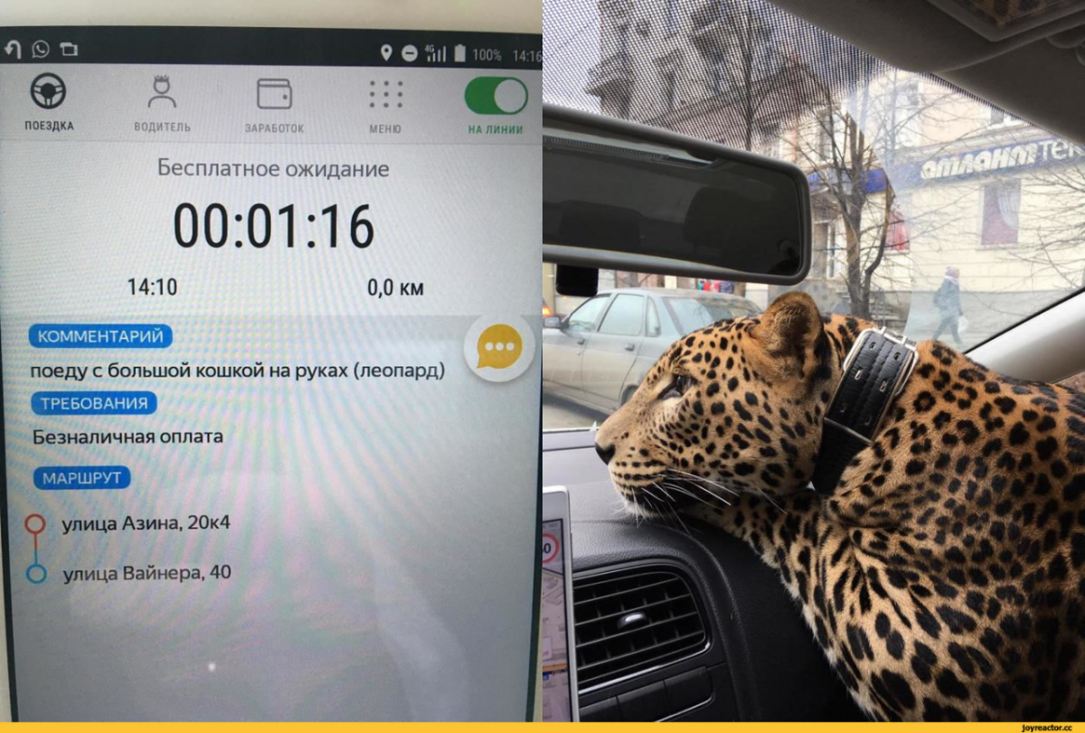 Оператор такси прикол