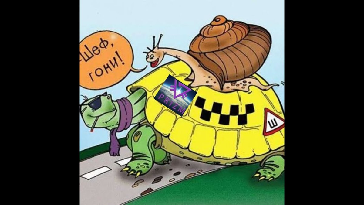 Черепаха карикатура