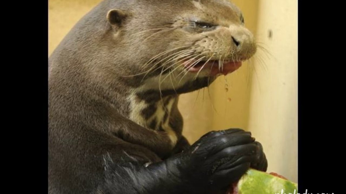 Открытки опять на работу