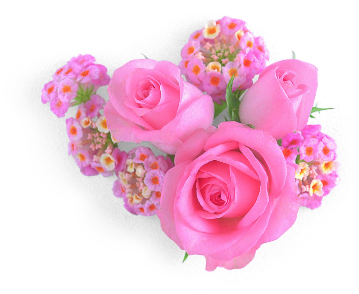 Спасибо цветы