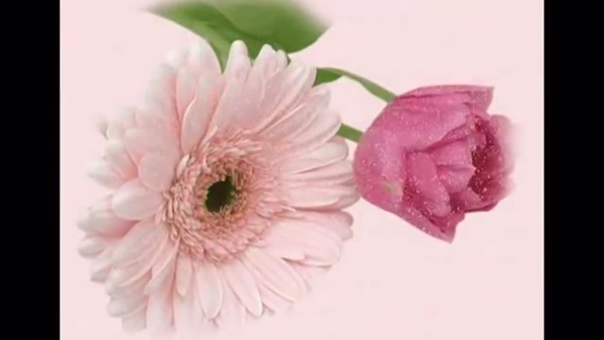 Цветочек спасибо