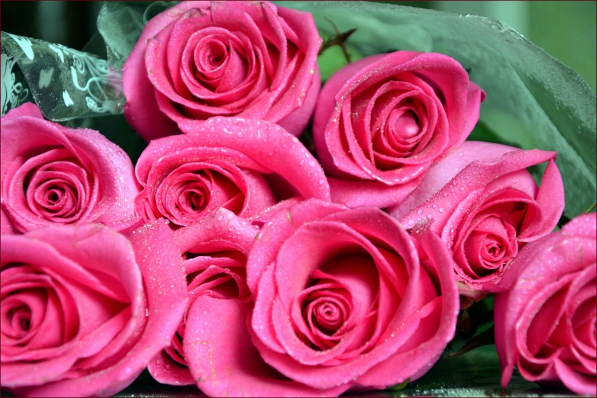 Благодарю розы