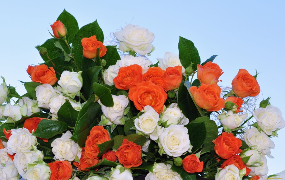 Букет роз с благодарностью