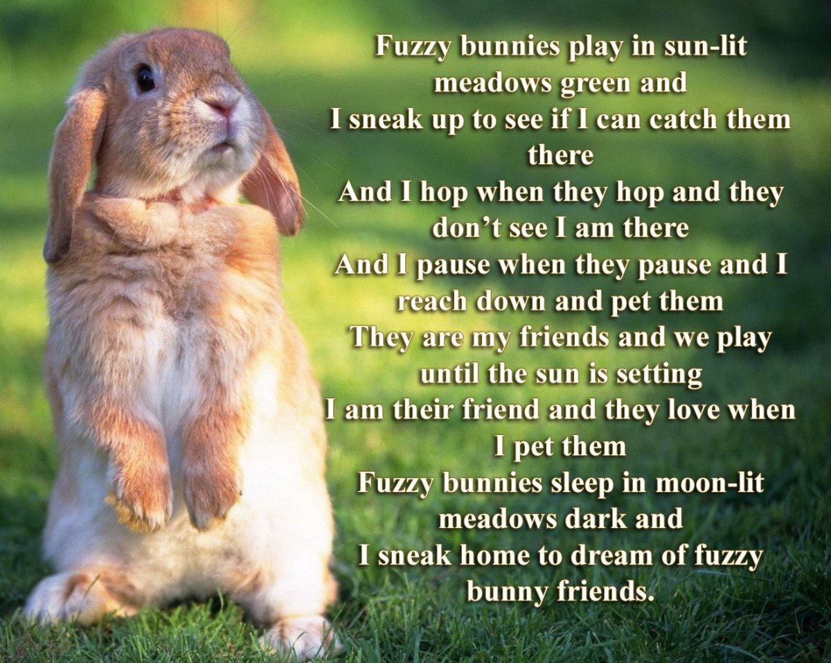 Открытки для поднятия настроения улыбнись