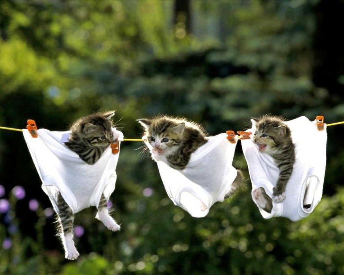 Позитивчик для поднятия настроения