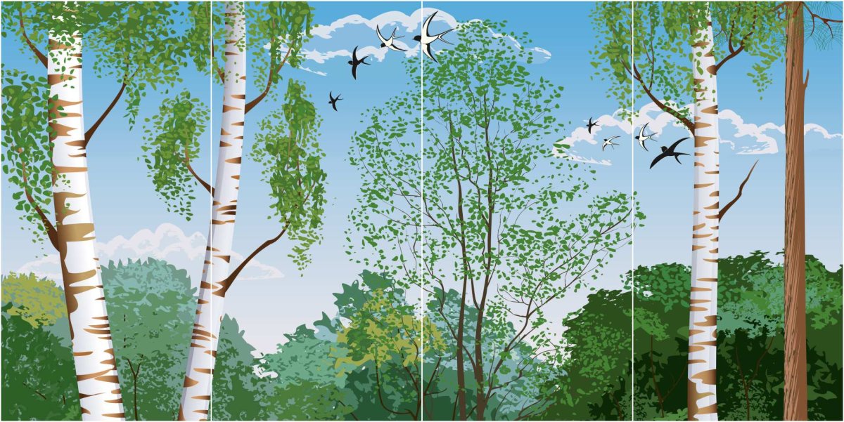 Береза схематично