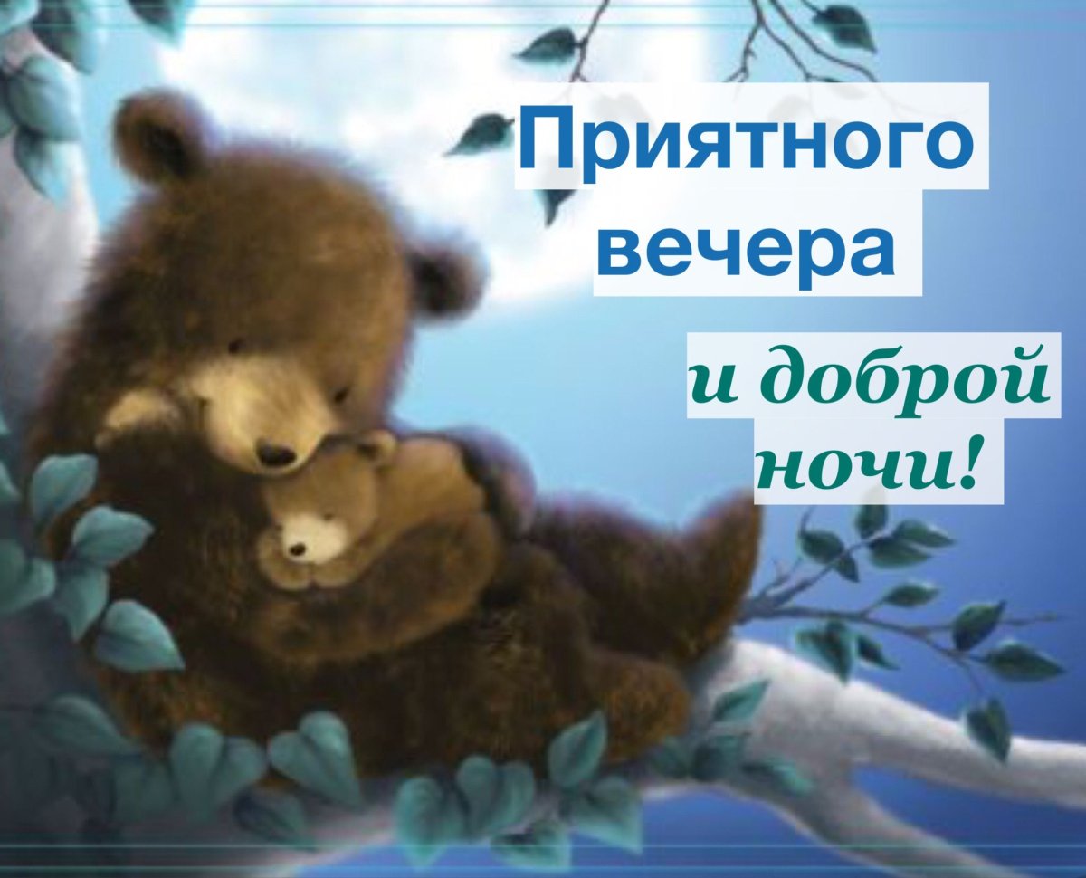 Спокойной ночи, Медвежонок!
