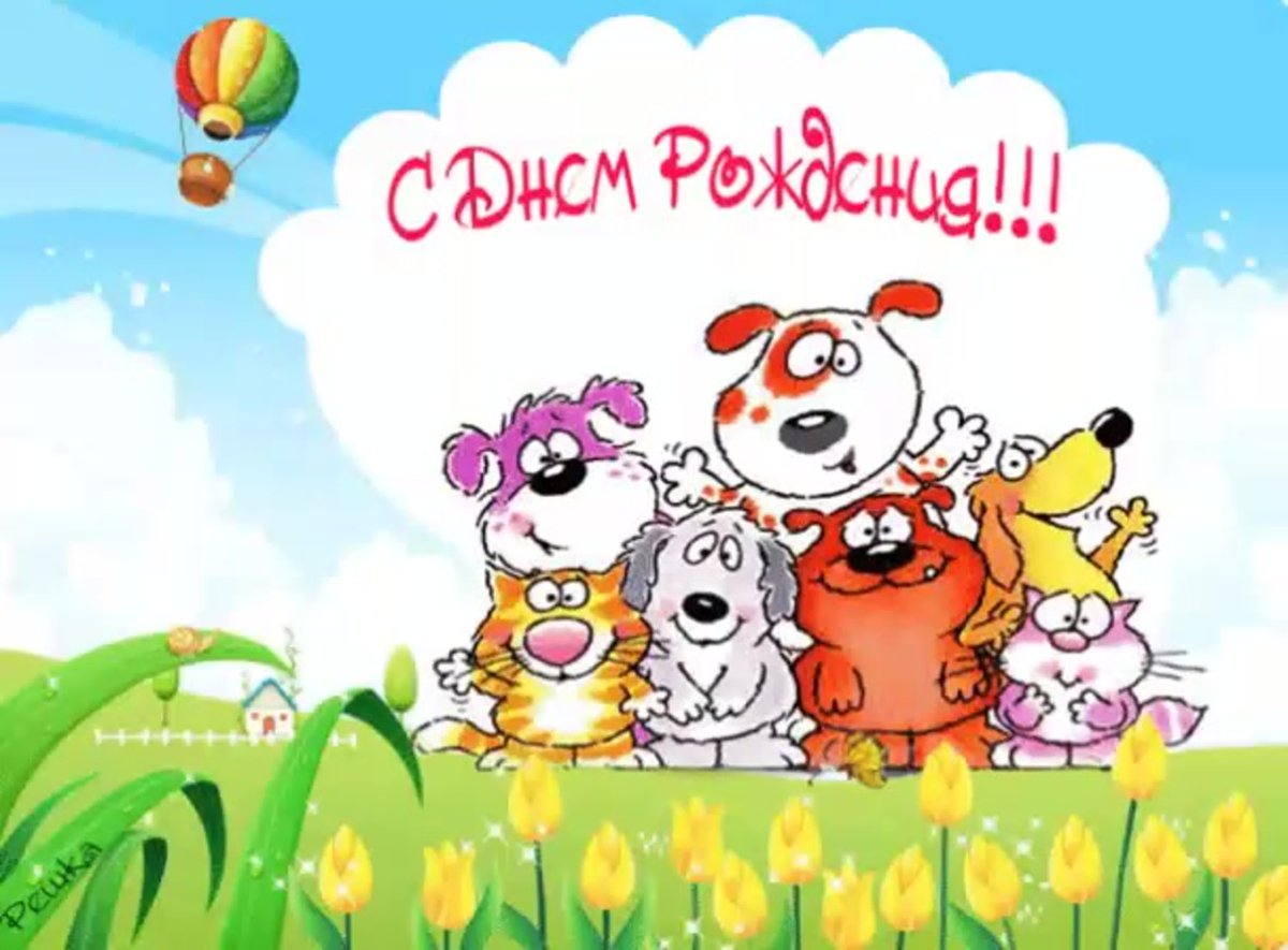 Поздравления с днём рождения Илья прикол