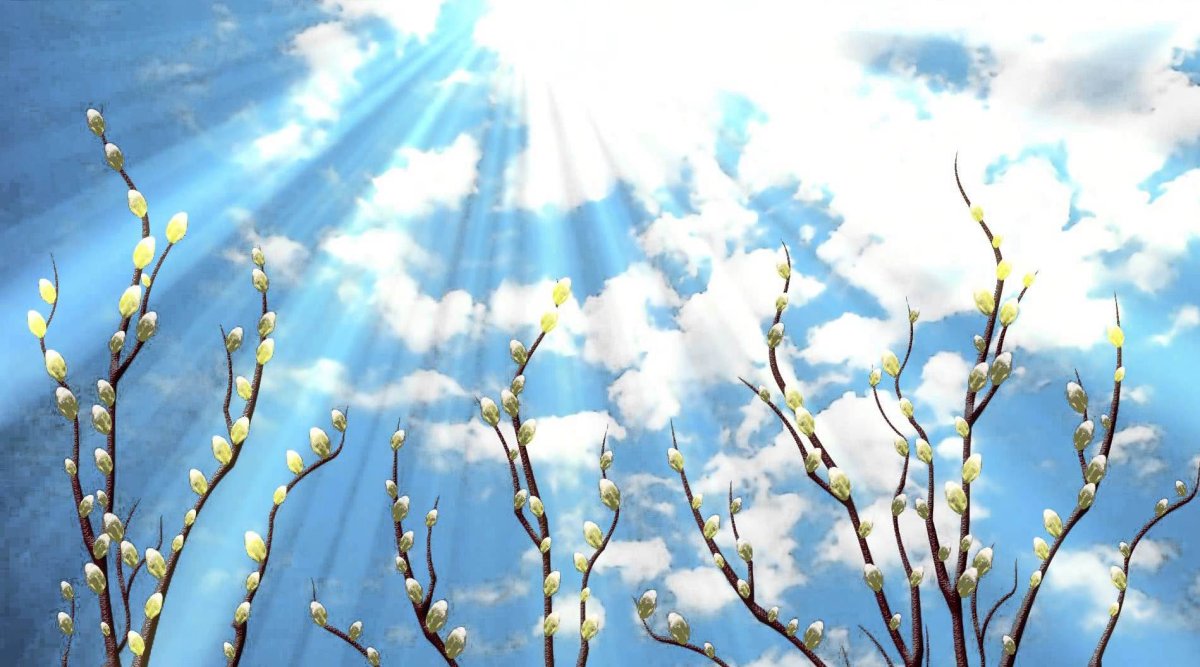 Весеннее солнце