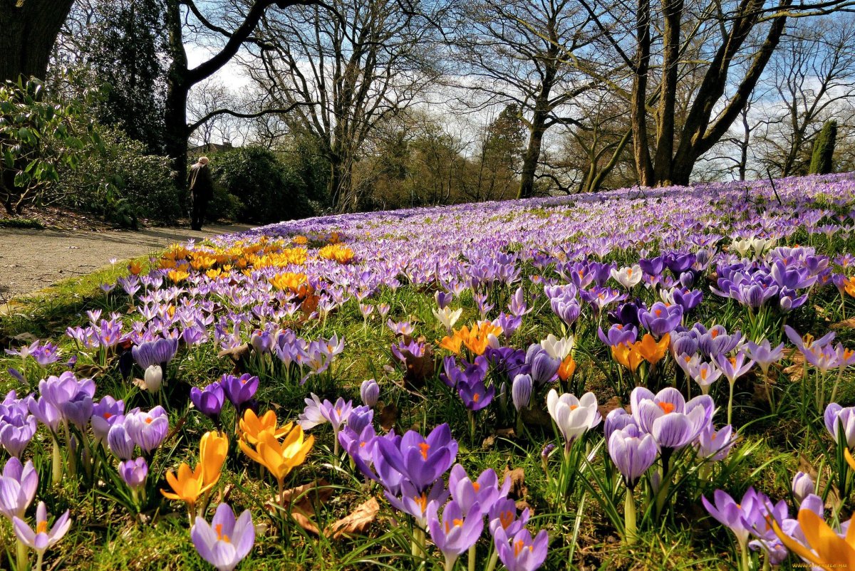 Ранняя Весна