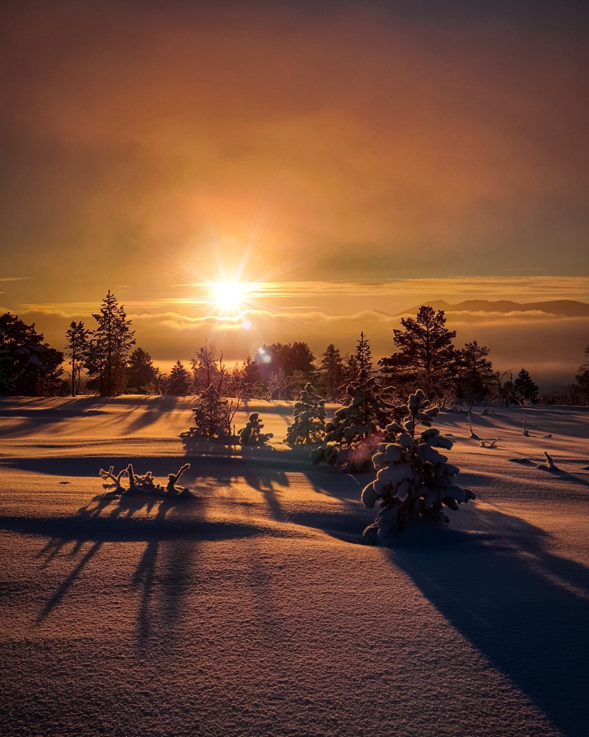 Зимний вечер