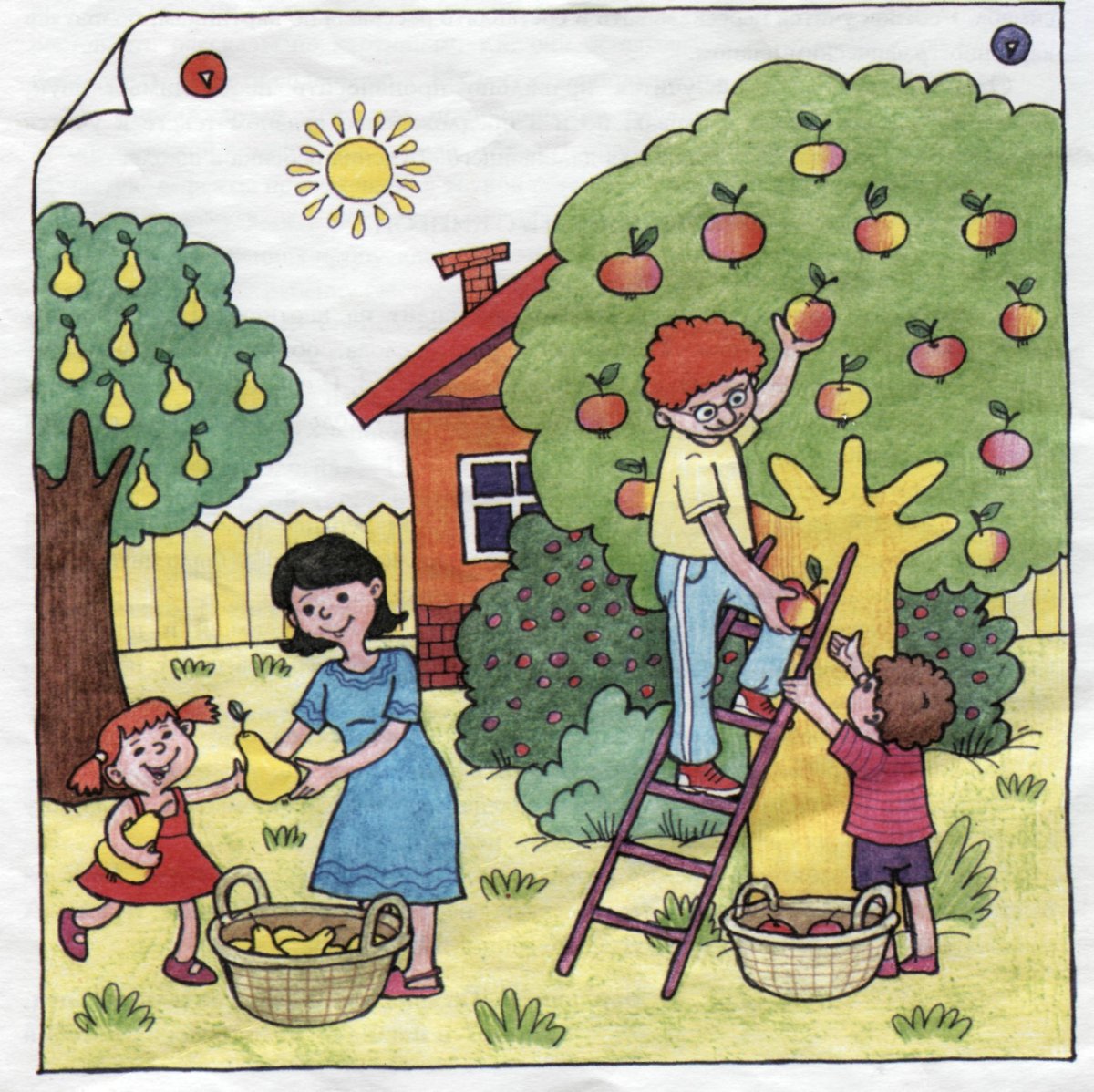 Сюжетные картины