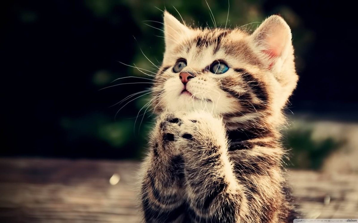 Оригинальные аватарки для девушек