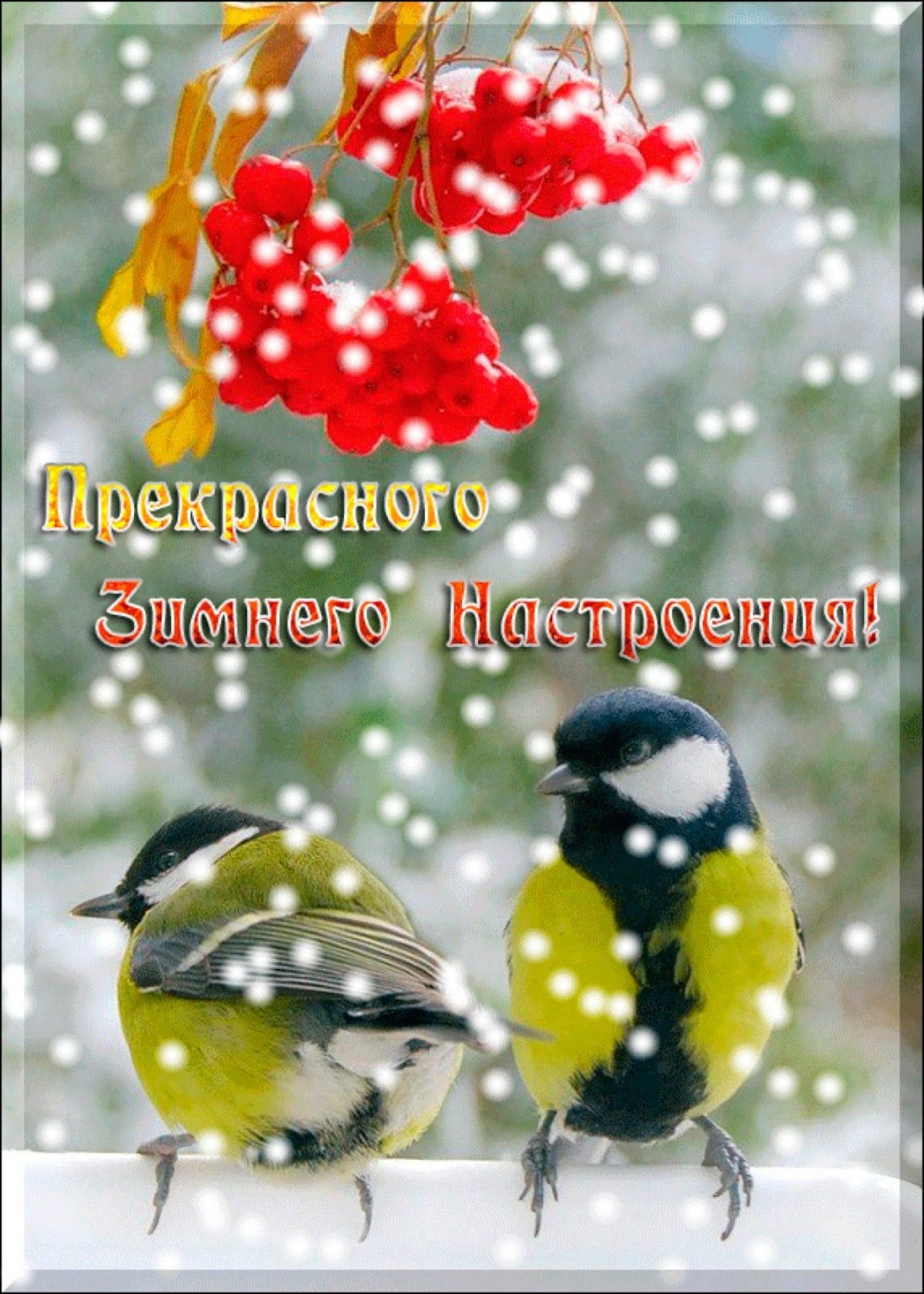 Доброе утро зима