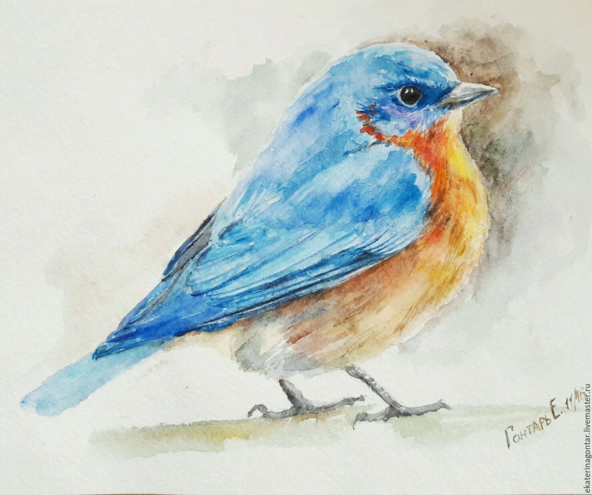 Рисование акварелью птицы