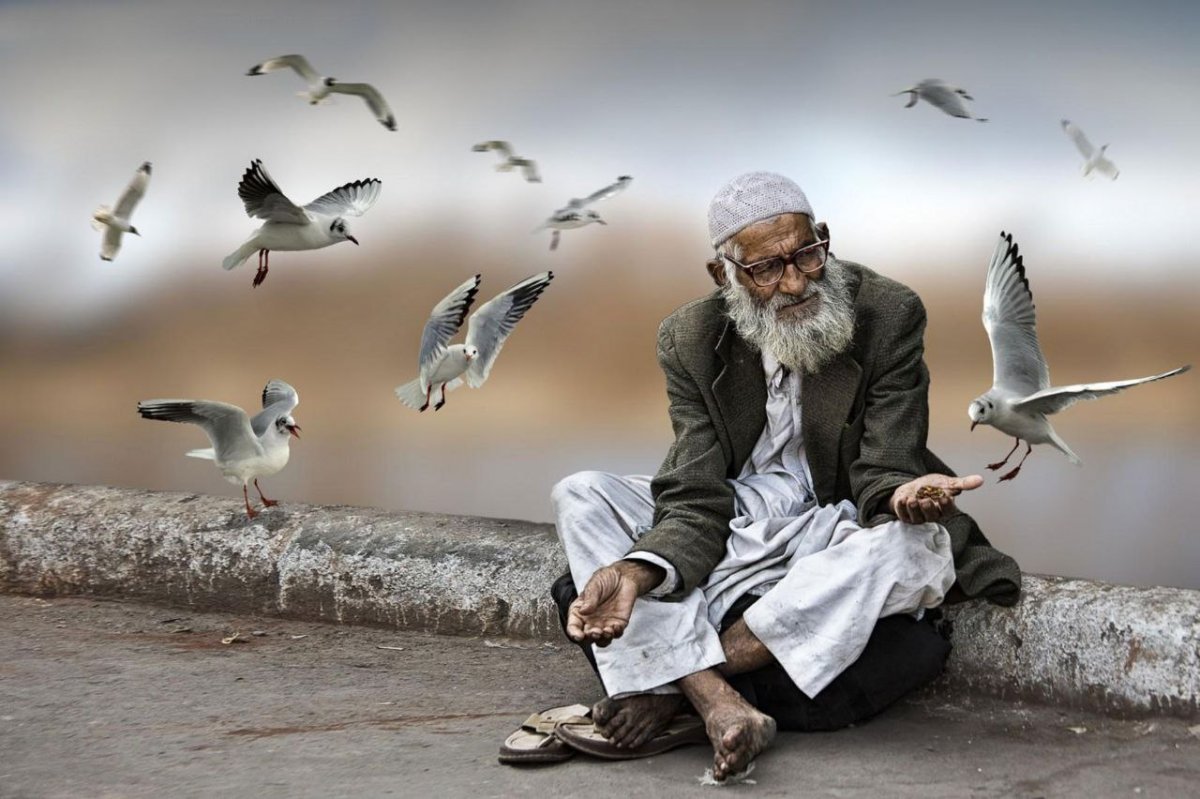 Доброта простота