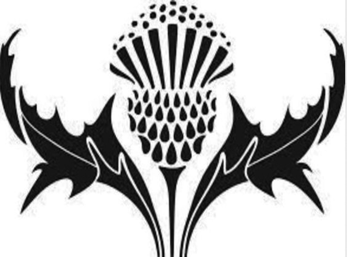 Чертополох Шотландия орнамент