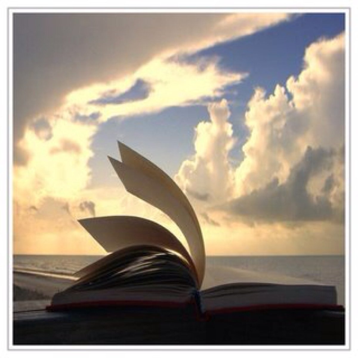 Книга на фоне моря