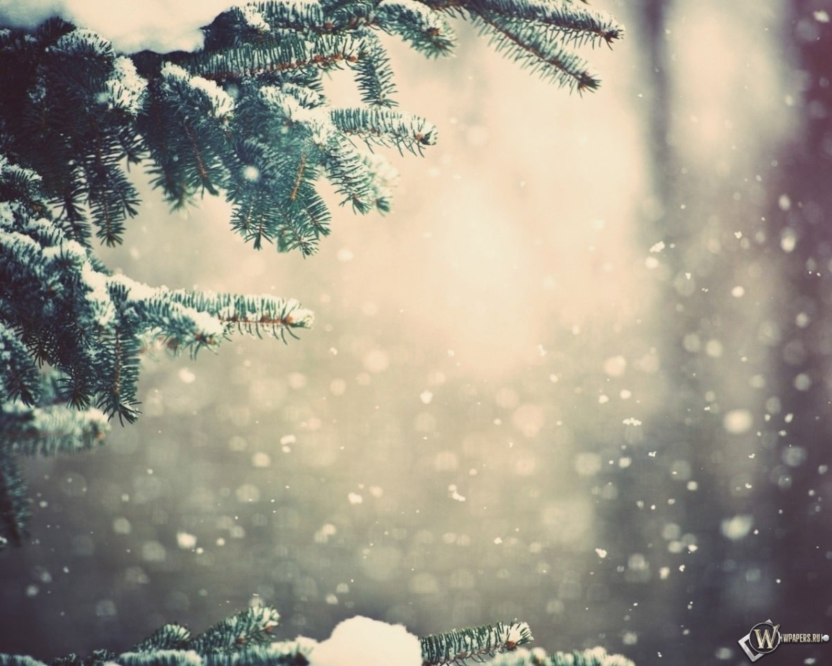 Ванильная зима