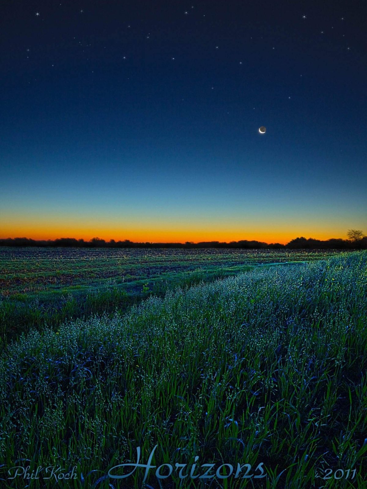 Степь ночью