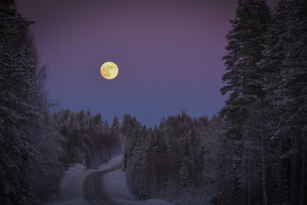 Красота зимы