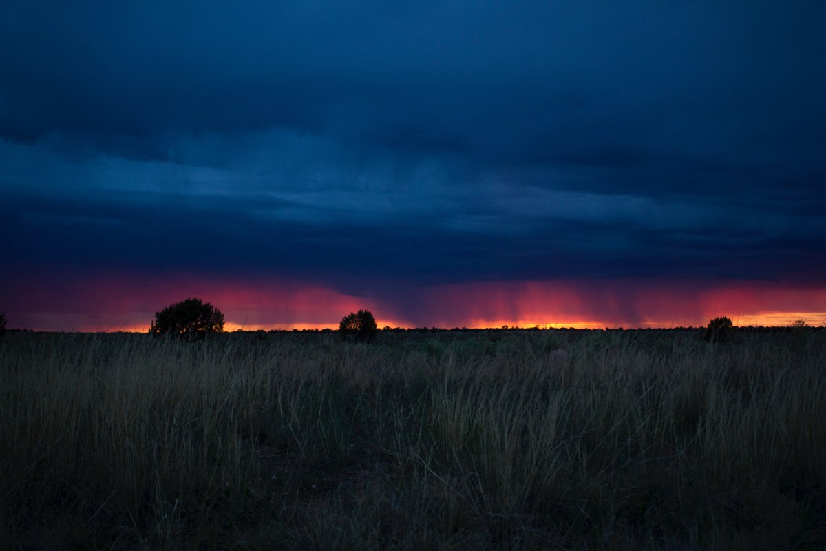 Закат в поле