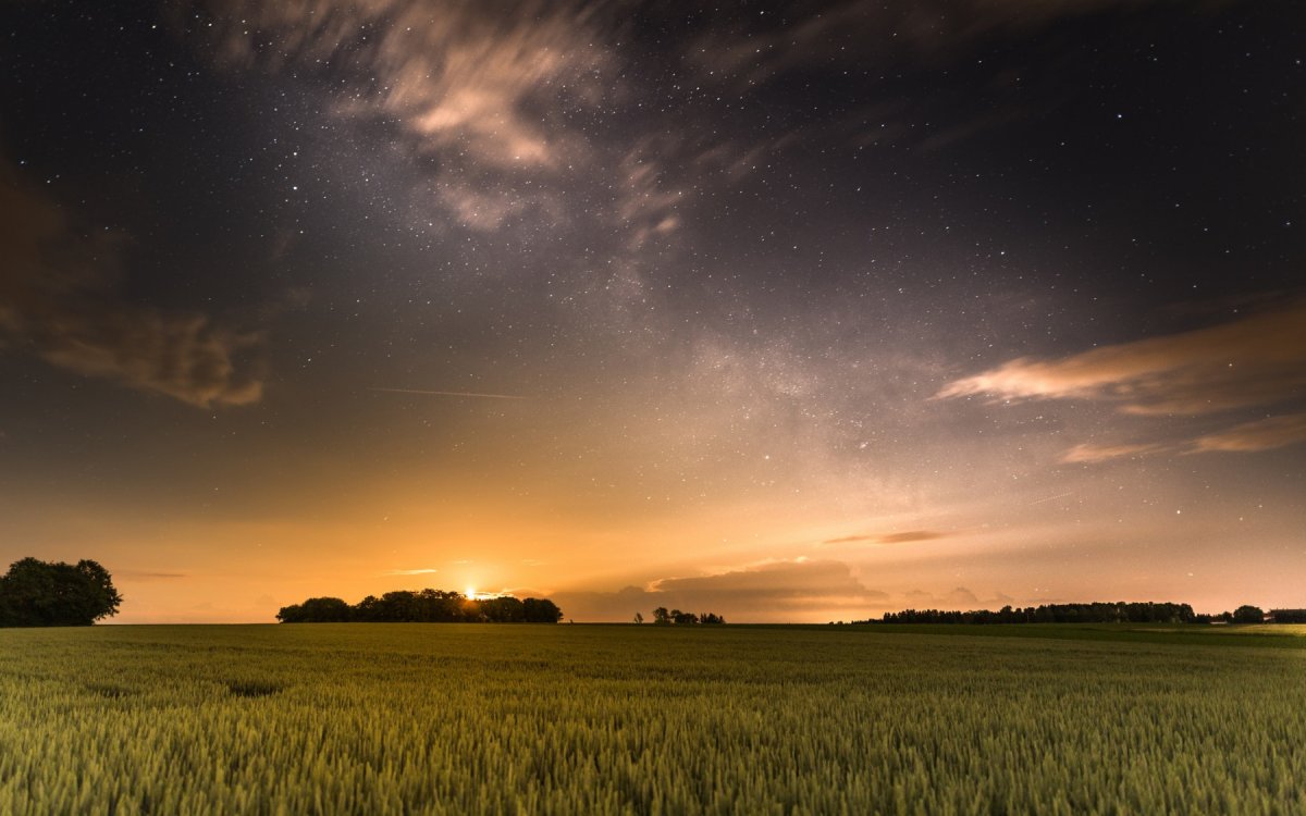 Звездное небо над полем