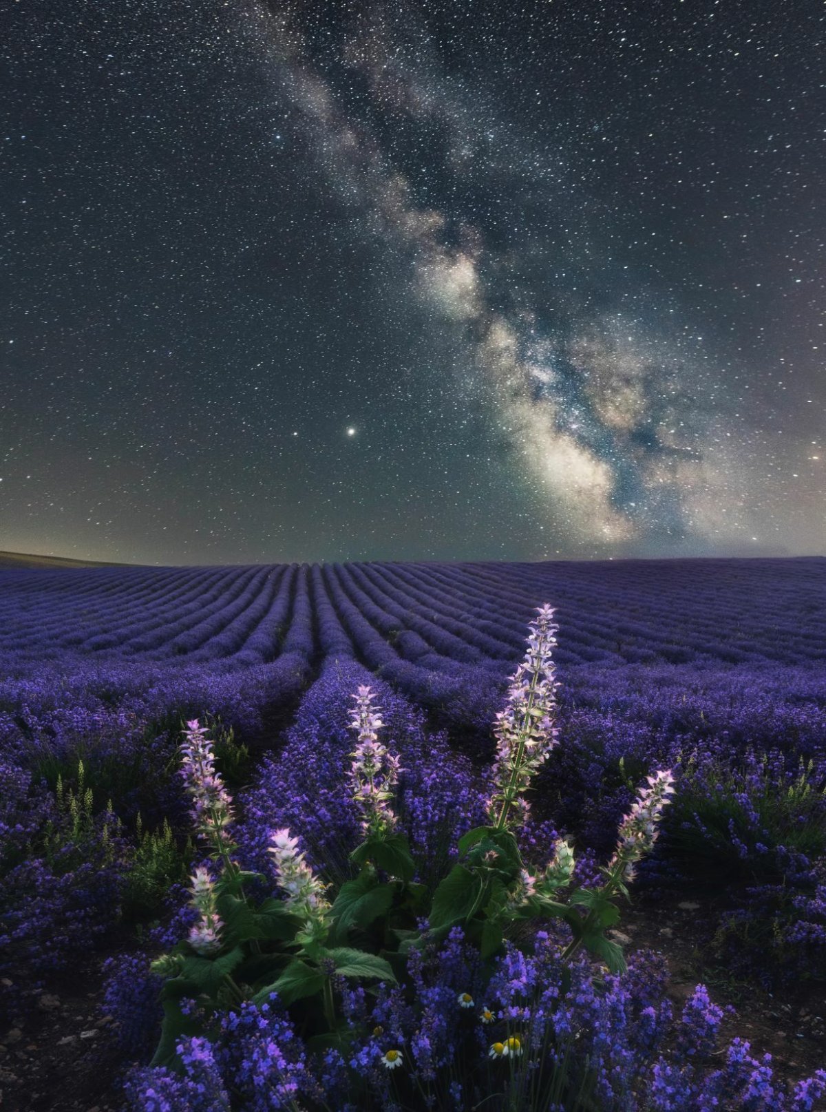 Ночное поле