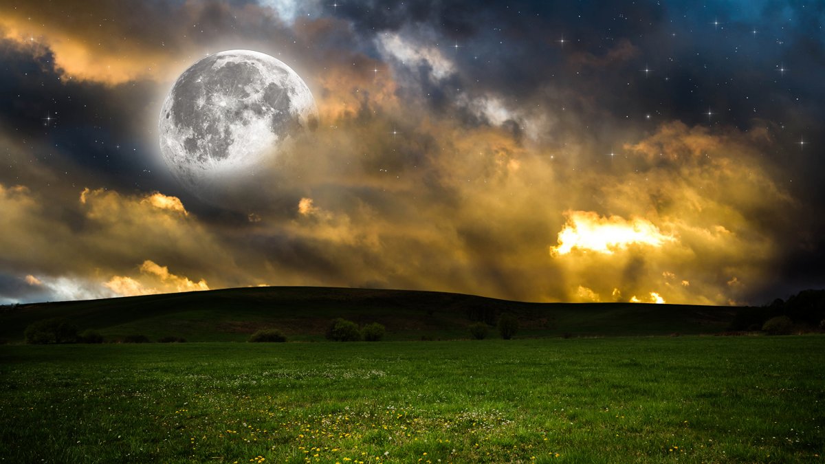 Луна в поле