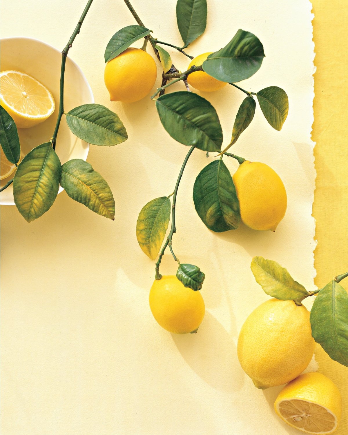 Лимонное дерево фон