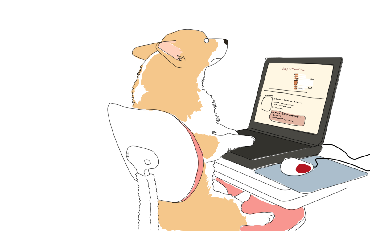 Зайка на белом фоне