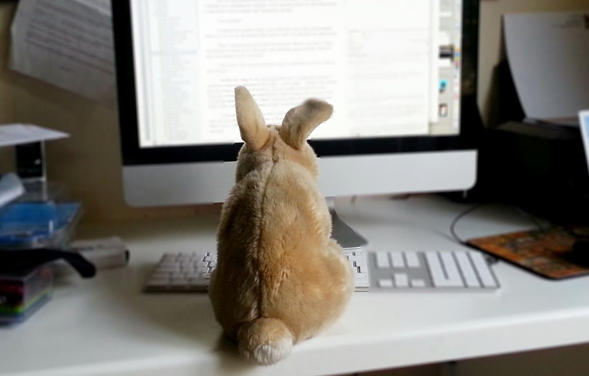 Кролик за компьютером