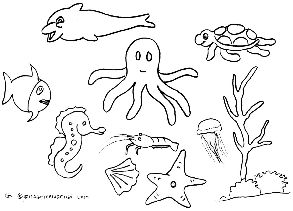 Морские обитатели для раскрашивания детям
