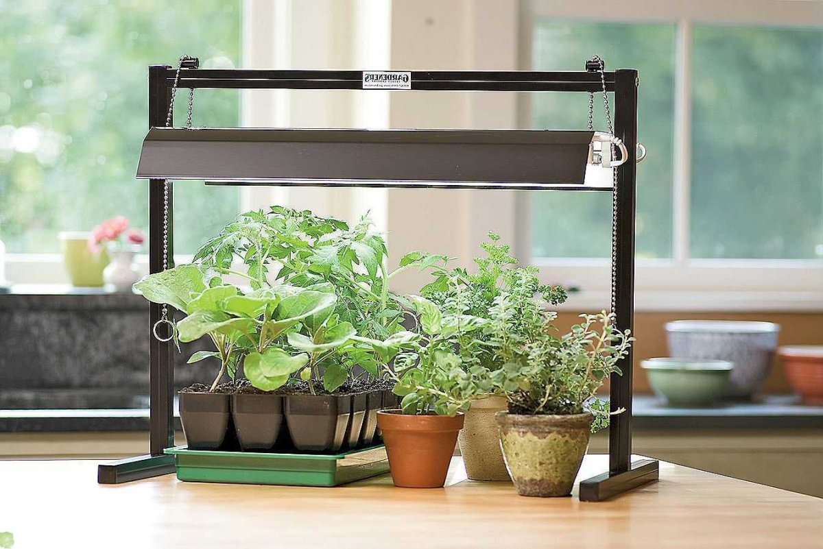 Лампы для досвечивания комнатных растений