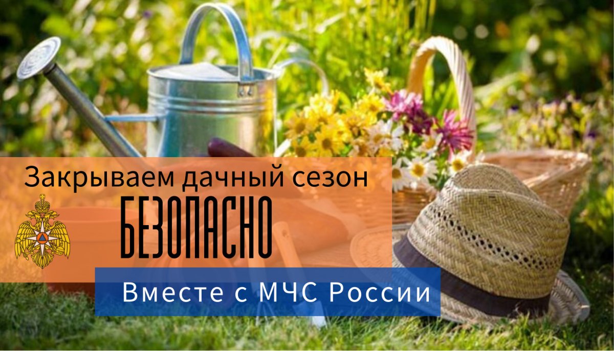 Приколы про дачу