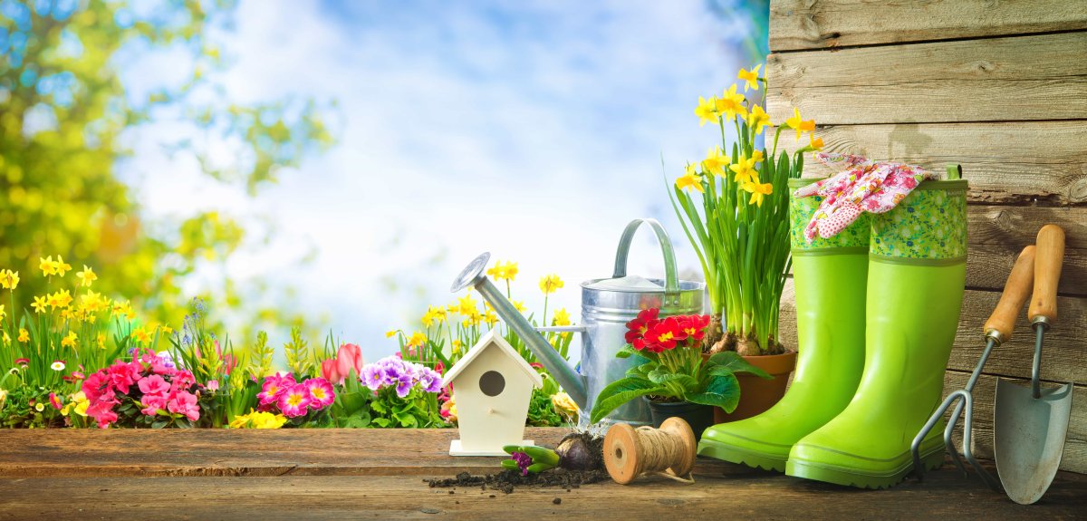 Весна дачный сезон