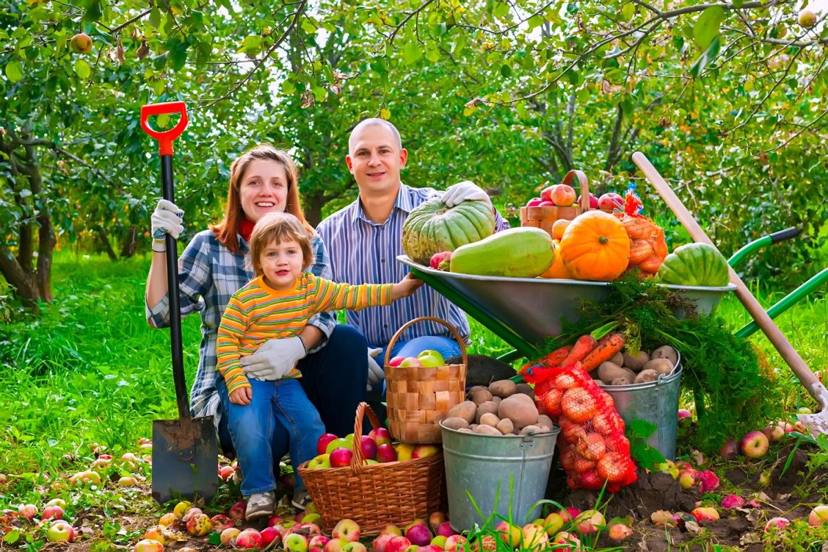 Товары для сада и огорода