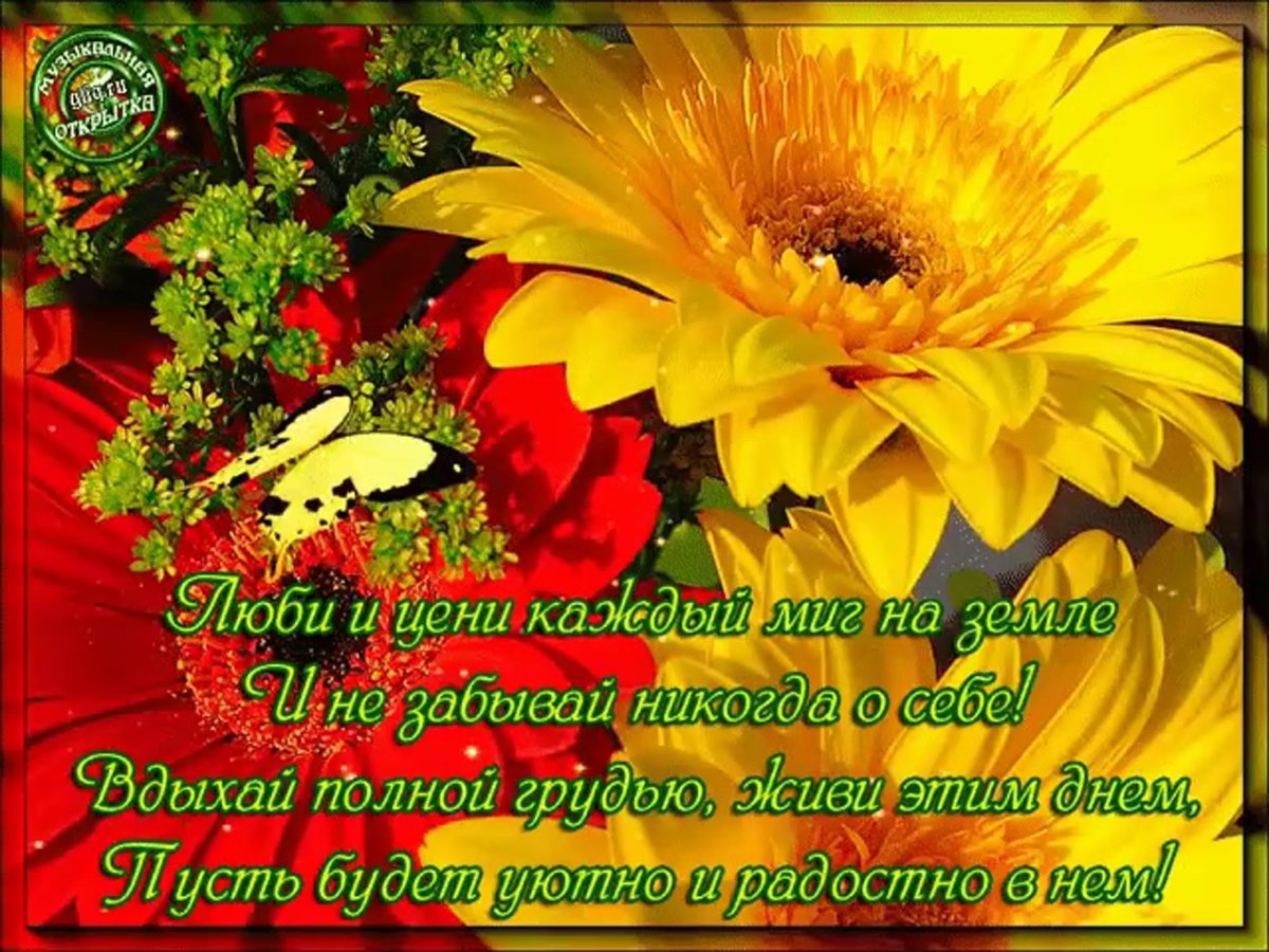 Поздравления на каждый день