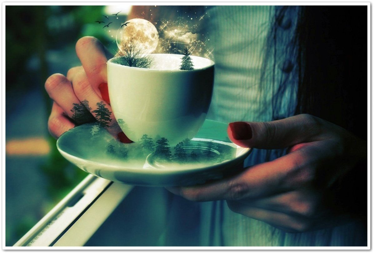 Если утро не доброе удобряйте