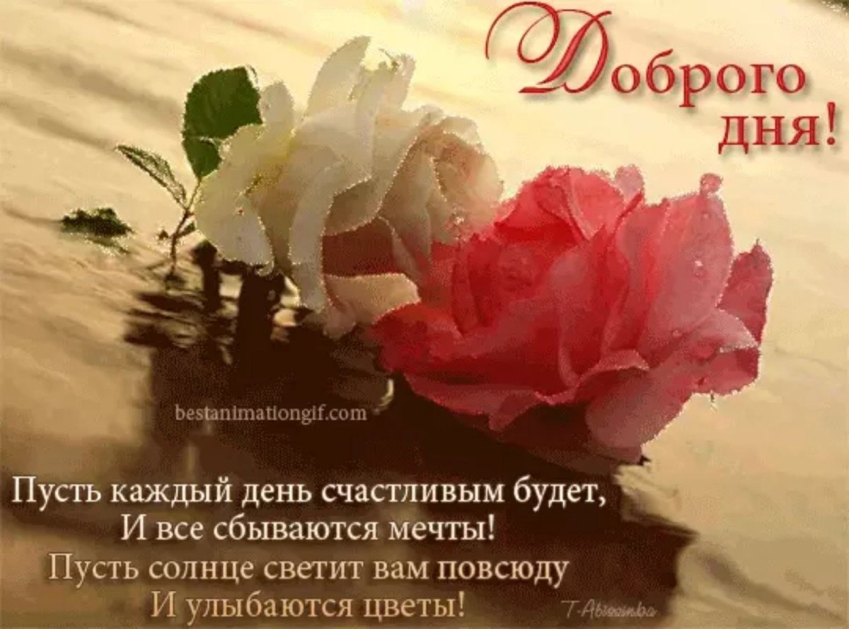 Афоризмы о радости жизни